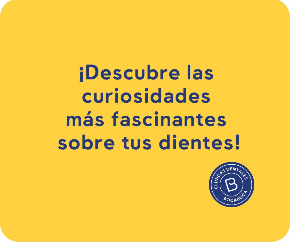 selladores dentales clinica dental en malaga clinica bocaboca